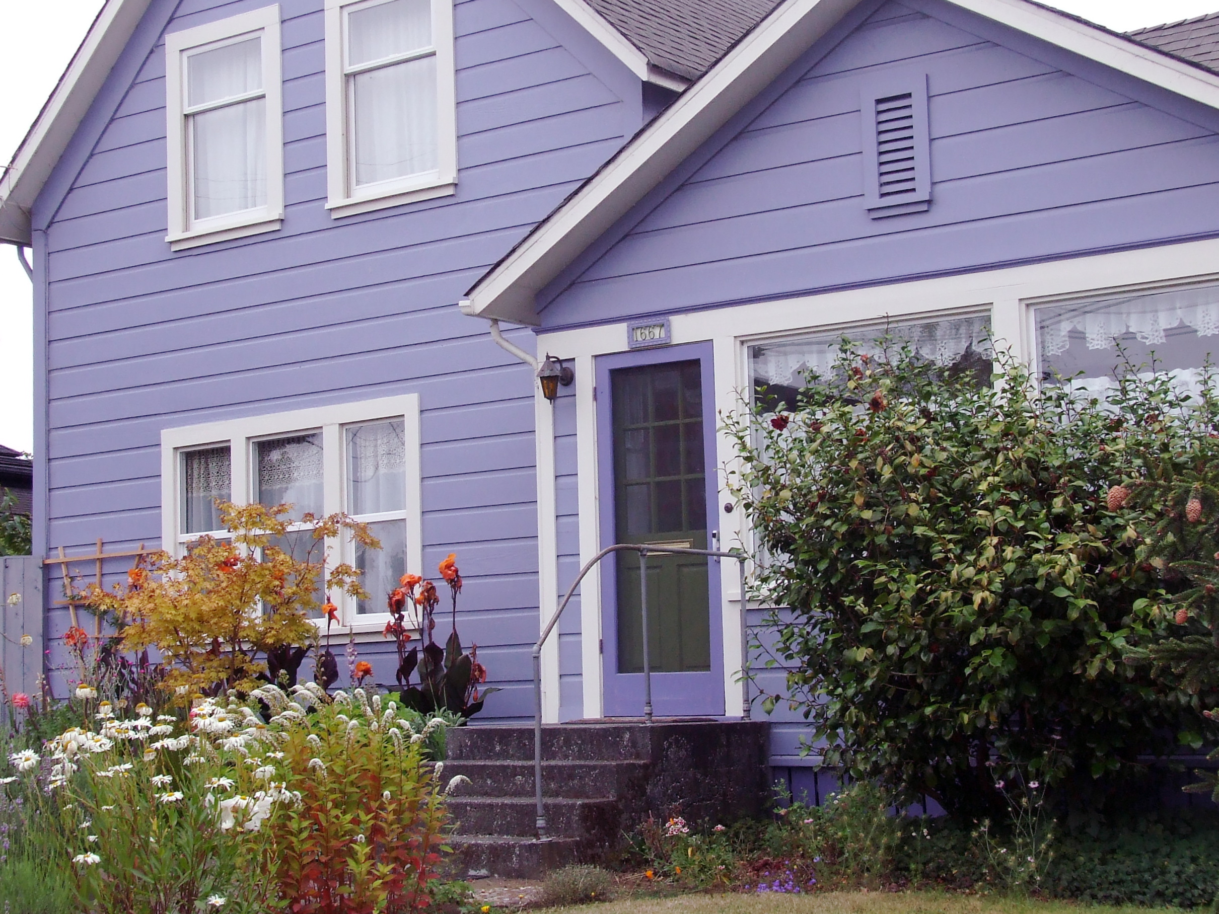 Slider Image 6
